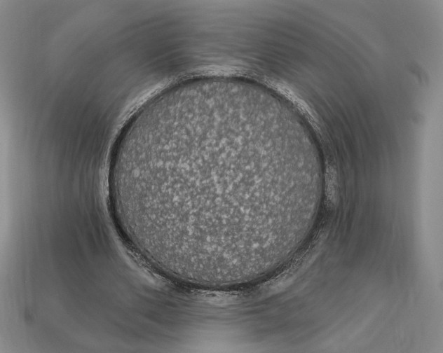 X0000112910486200909141254