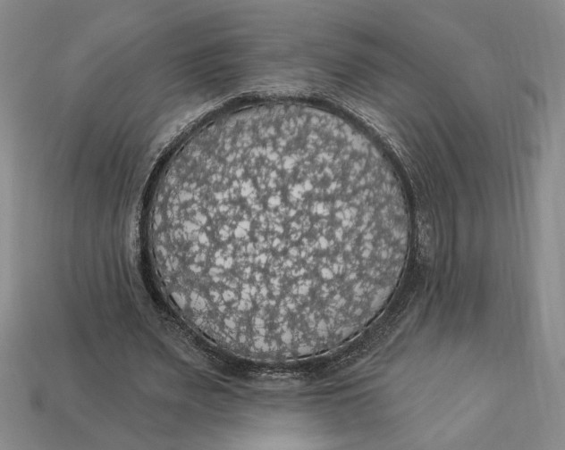 X0000112910487200909141254