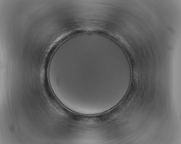 X0000112910488200909141254