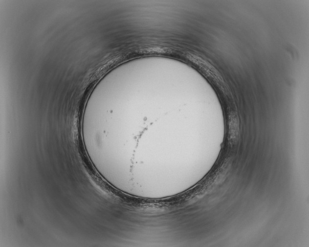 X0000112910489200909141254