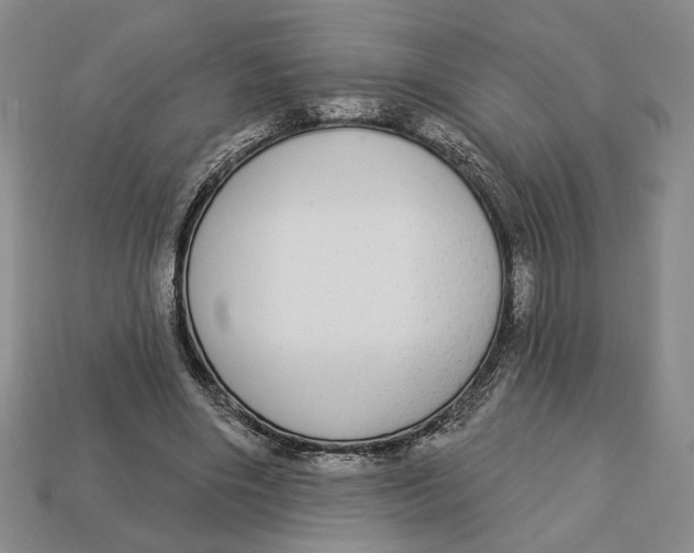 X0000112910490200909141254