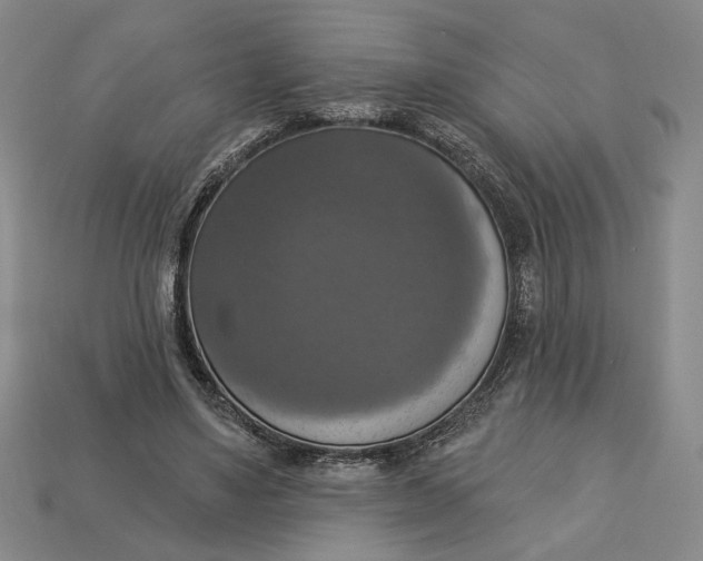 X0000112910491200909141254