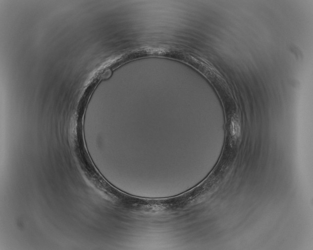 X0000112910492200909141254