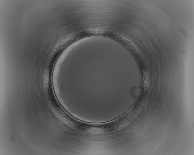 X0000112910494200909141254