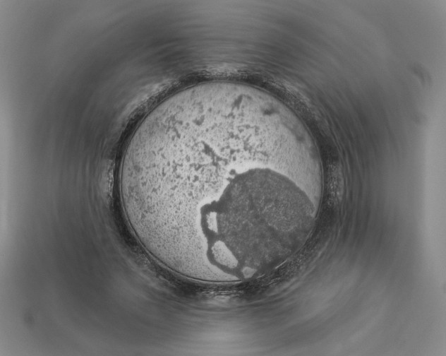 X0000112910495200909141254