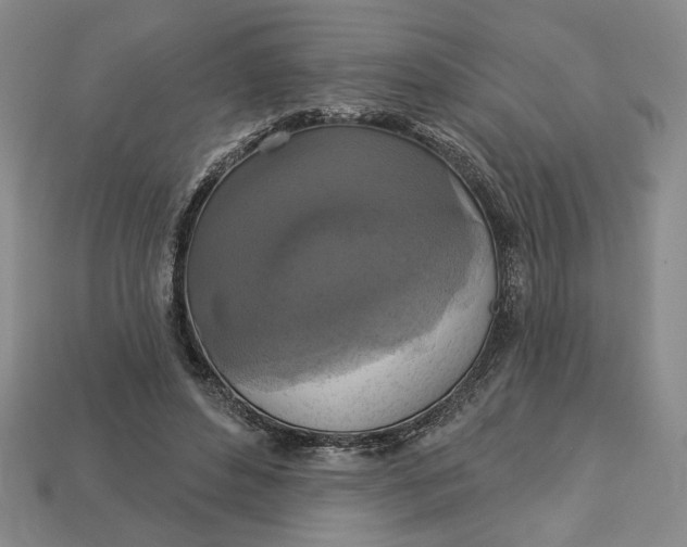 X0000112910496200909141254