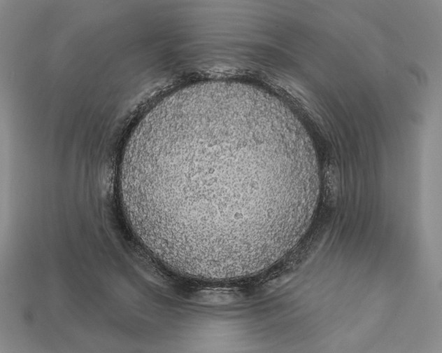 X0000112910499200909141254