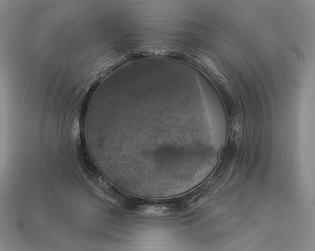 X0000112910500200909141254