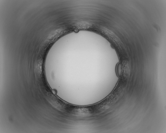 X0000112910501200909141254