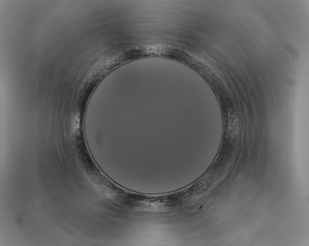 X0000112910502200909141254