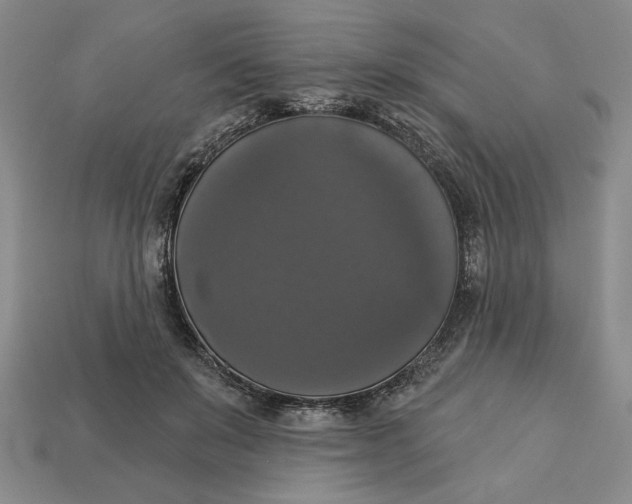 X0000112910503200909141254