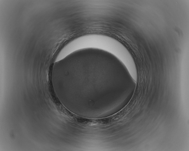 X0000112910504200909141254