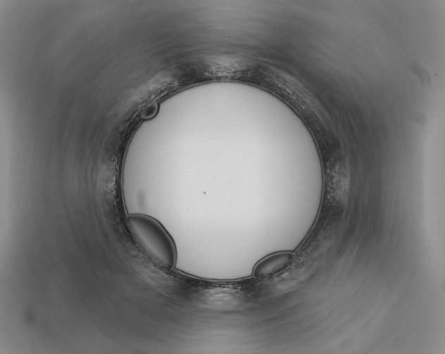 X0000112910505200909141254