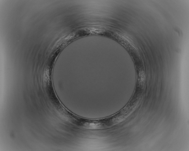 X0000112910506200909141254