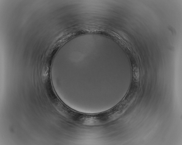 X0000112910507200909141254