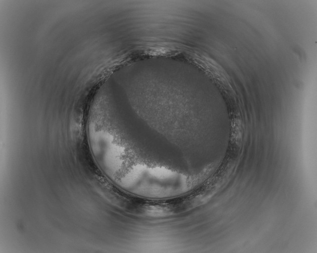 X0000112910510200909141254