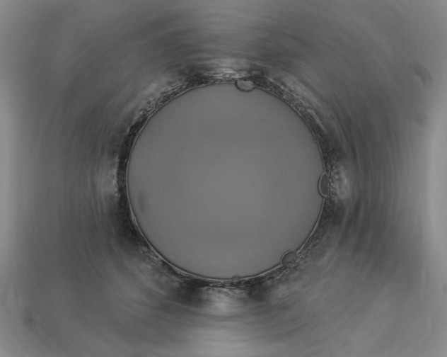 X0000112910512200909141254