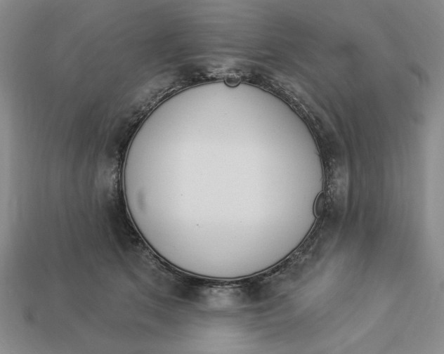 X0000112910513200909141254