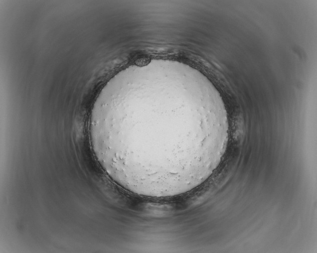 X0000112910515200909141254