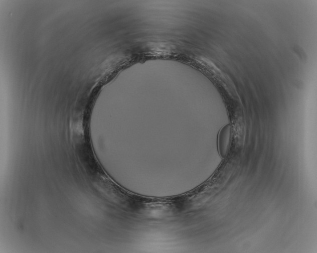 X0000112910516200909141254