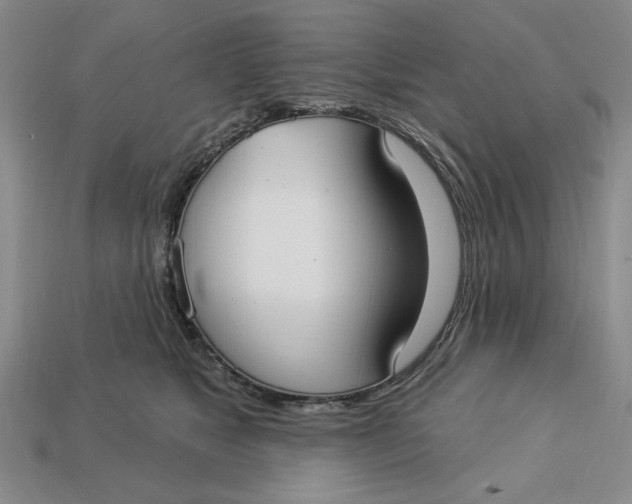 X0000112910517200909141254