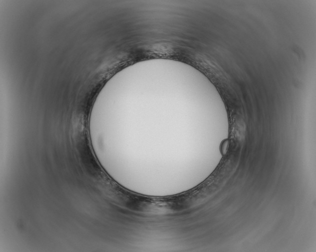 X0000112910518200909141254