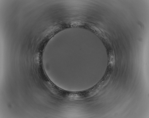 X0000112910519200909141254