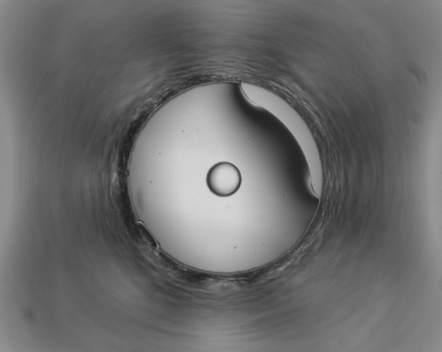 X0000112910520200909141254