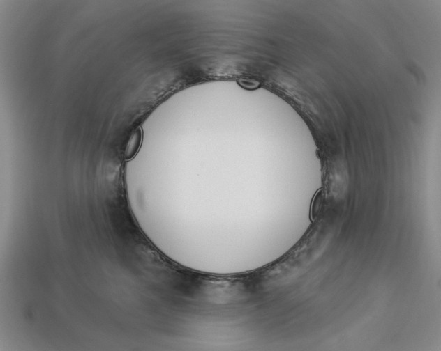 X0000112910521200909141254