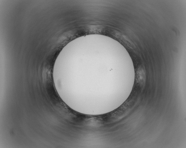 X0000112910522200909141254