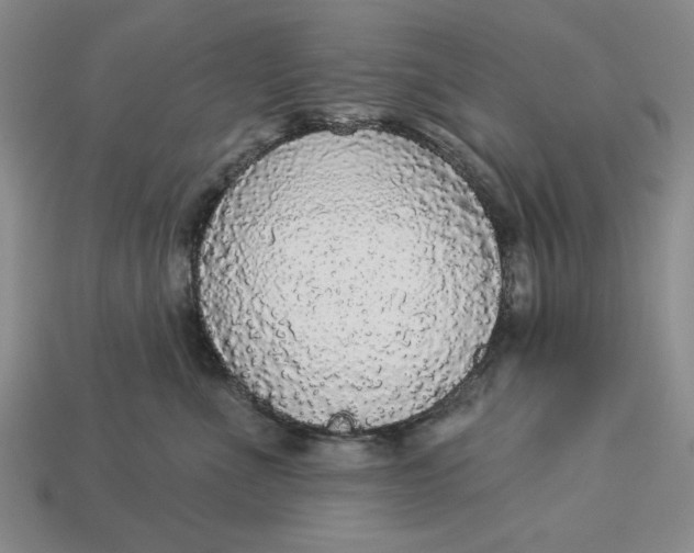 X0000112910523200909141253