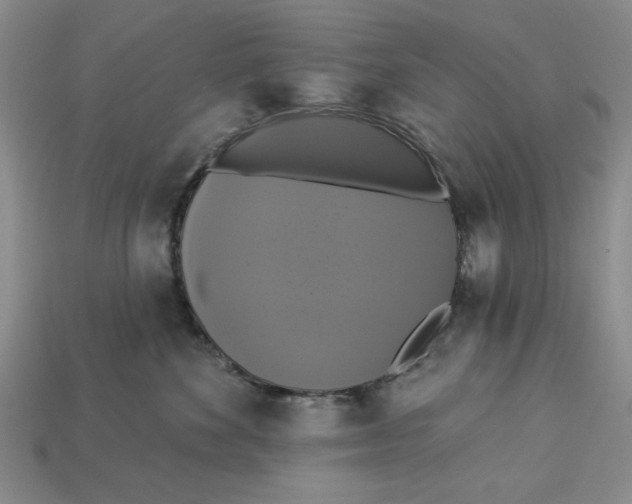 X0000112910524200909141253