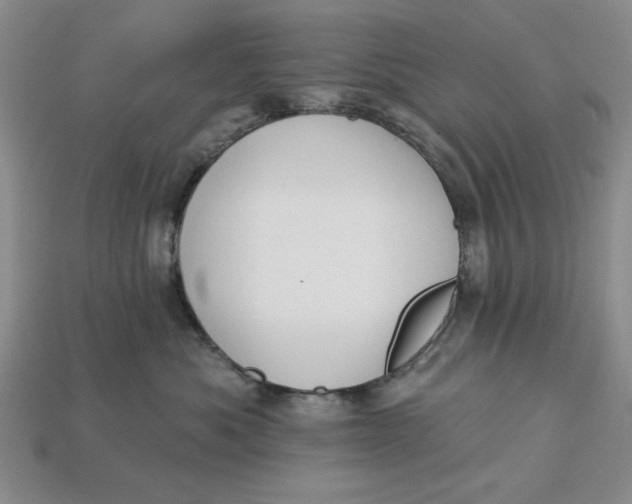 X0000112910525200909141253