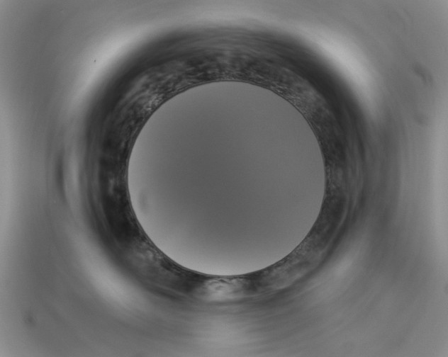 X0000112910526200909141253