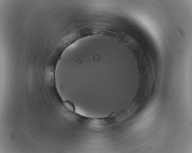 X0000112910527200909141253