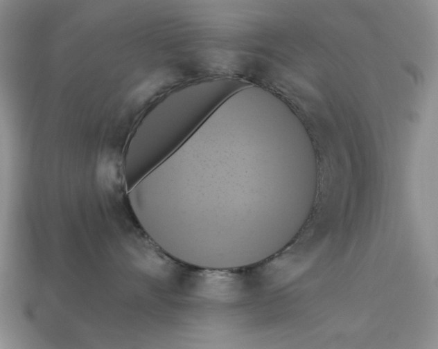 X0000112910528200909141253