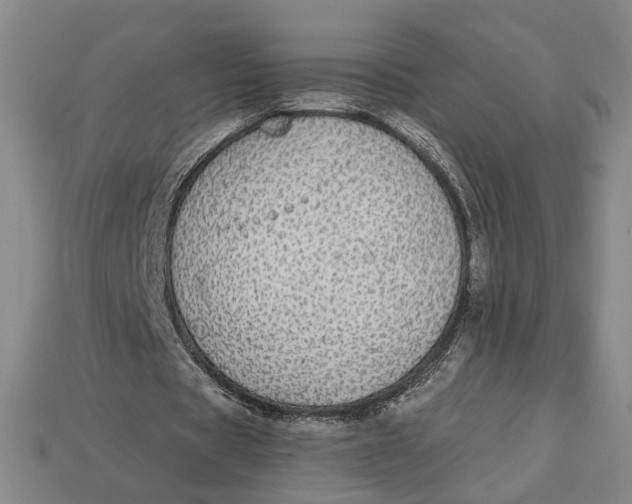 X0000112910529200909141253