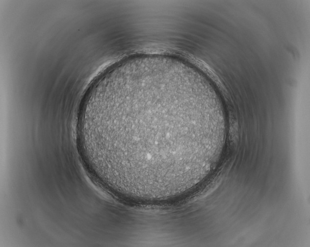 X0000112910530200909141253