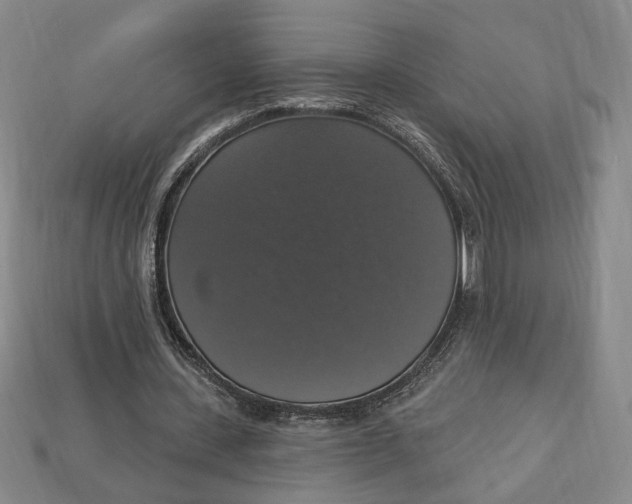 X0000112910531200909141253