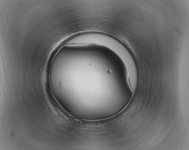 X0000112910532200909141253