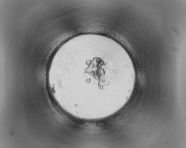 X0000112910534200909141253