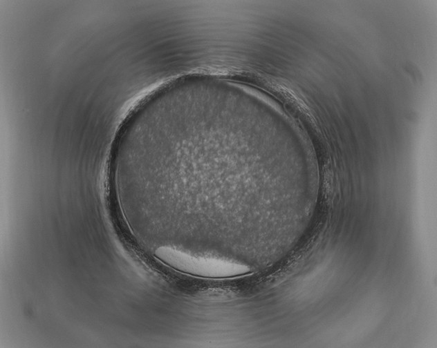 X0000112910536200909141253