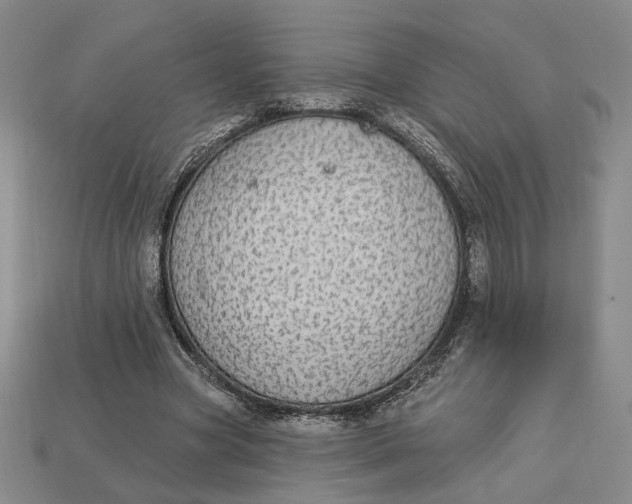 X0000112910537200909141253