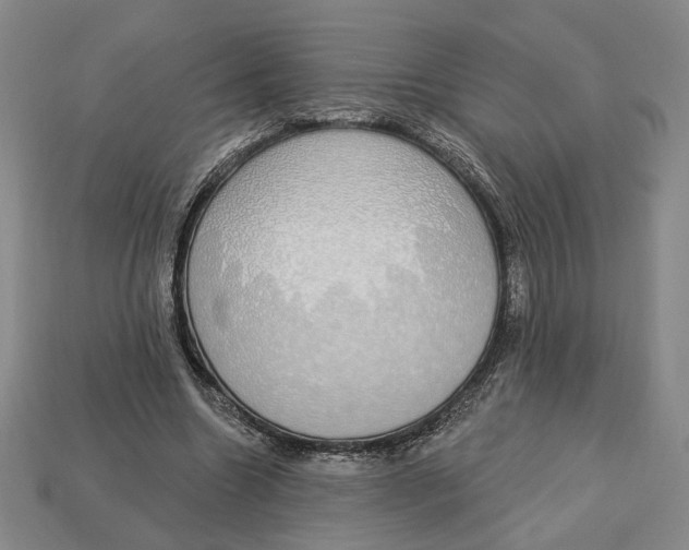 X0000112910538200909141253