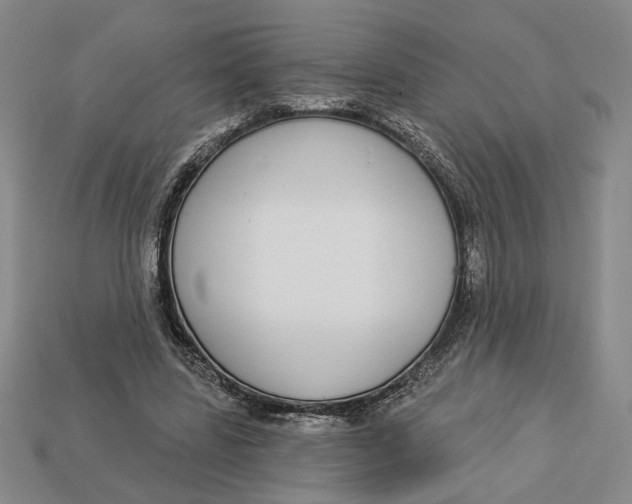 X0000112910539200909141253