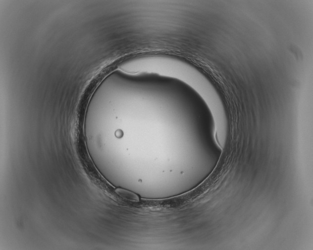 X0000112910540200909141253