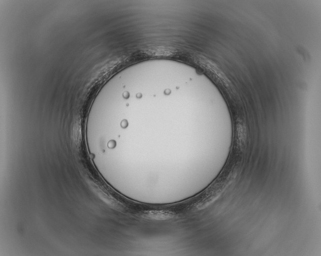 X0000112910541200909141253