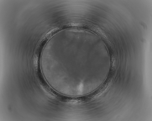 X0000112910542200909141253