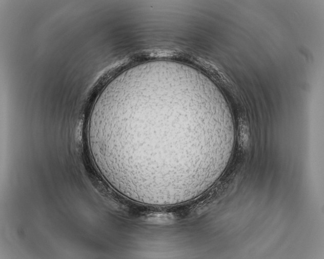 X0000112910543200909141253