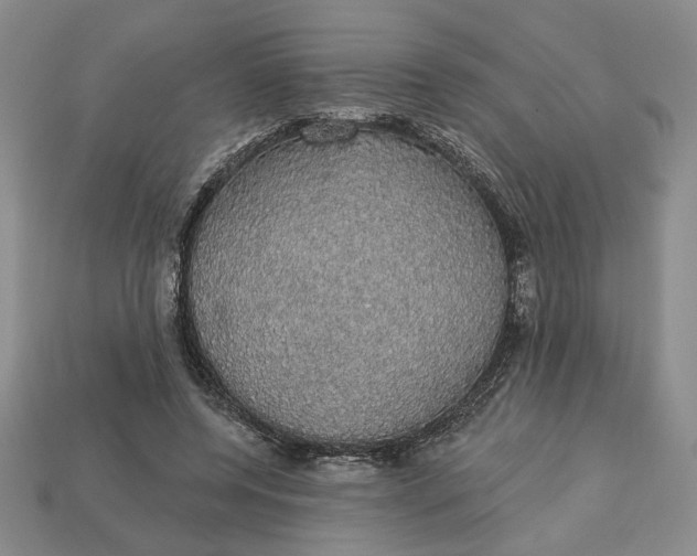 X0000112910544200909141253